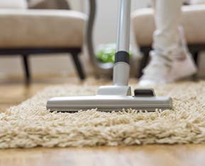 Carpet Cleaning