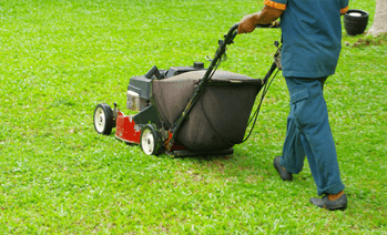 Pruning And Hedge Trimming | Commercial Cleaning NSW | Euphoric Utopia